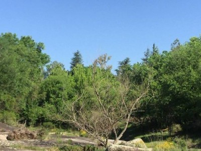 CASA DE CAMPO CON 100 HECTAREAS Y RÍO !!