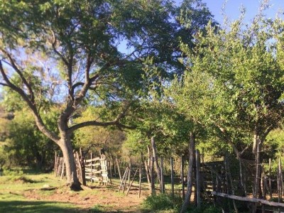 CASA DE CAMPO CON 100 HECTAREAS Y RÍO !!