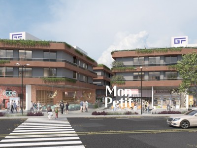 DEPARTAMENTOS EN VENTA NUEVO PASEO MON PETIT
