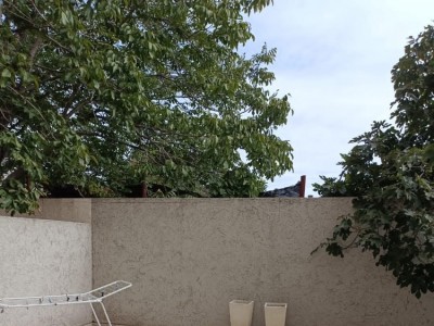 DEPARTAMENTO EN PLANTA BAJA CON GRAN PATIO !!