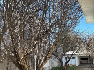 CASA DE 3 DORMITORIOS OPORTUNIDAD !!