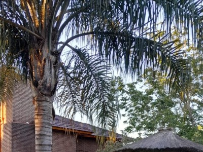 Casa en Altos de las Vertientes