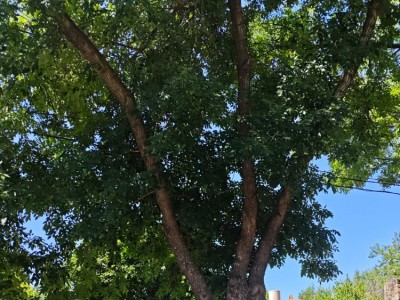 LOTE TERRENO Bº MALVINAS 