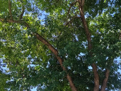 LOTE TERRENO Bº MALVINAS 