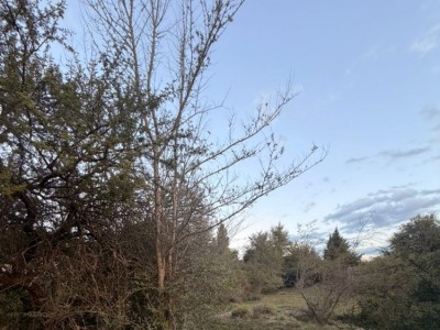 LOTE EN LOMAS DEL REY